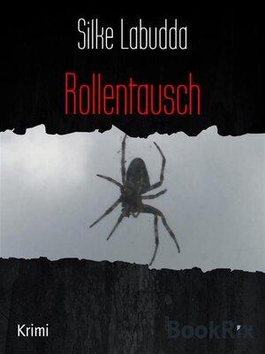 cover image of Rollentausch